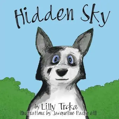 Lilly Trcka - Hidden Sky, Häftad. Tillgänglighet: Lägg i varukorg