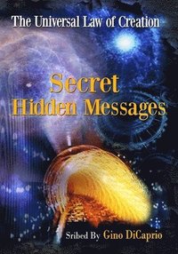 bokomslag Secret Hidden Messages