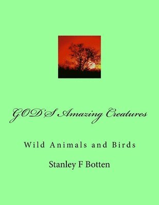 Stanley Felix Botten - GOD'S Amazing Creatures: Wild Animals and Birds, Häftad