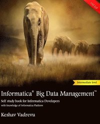 bokomslag Informatica Big Data Management: Self study book for Informatica Developers