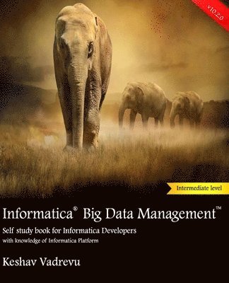 Informatica Big Data Management: Self study book for Informatica Developers 1