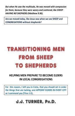 bokomslag Transitioning Men From Sheep To Shepherds: Helping Men Prepare to Become Elders