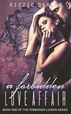 A Forbidden Love Affair: The Forbidden Liaison Series Book 1 1