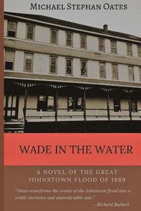 bokomslag Wade In The Water: A novel of the great Johnstown flood