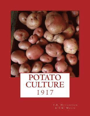 bokomslag Potato Culture