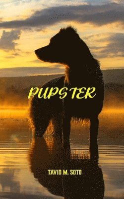 bokomslag Pupster