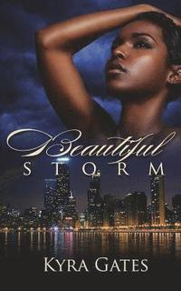 bokomslag Beautiful Storm: Harris Family Values Book 2
