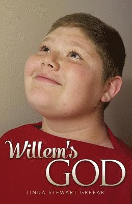 bokomslag Willem's God