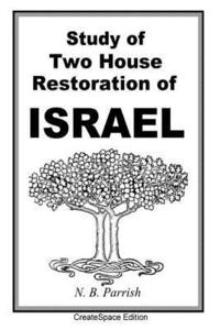 bokomslag Study Of Two House Restoration Of Israel