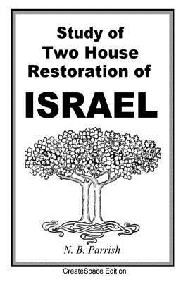 bokomslag Study Of Two House Restoration Of Israel