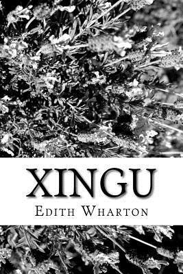 Xingu 1