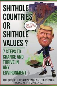 bokomslag Shithole Countries Or Shithole Values?: 7 Steps to Change and Thrive in Any Environment