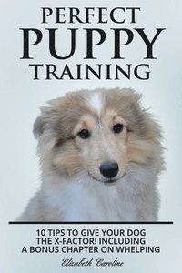 bokomslag Perfect Puppy Training
