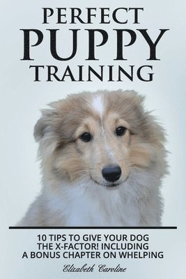 Perfect Puppy Training 1