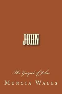 bokomslag John: The Gospel of John