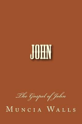 bokomslag John: The Gospel of John