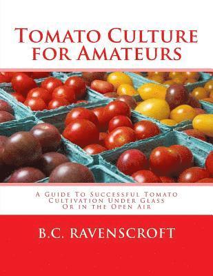 bokomslag Tomato Culture for Amateurs: A Guide To Successful Tomato Cultivation Under Glass Or in the Open Air