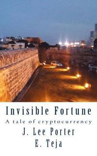 bokomslag Invisible Fortune