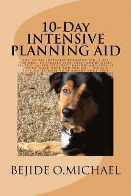 bokomslag 10-Day INTENSIVE PLANNING AID: The Intensive Planning Aid is all you need to finally stop that famous delay tactics called 'procrastination' and fina