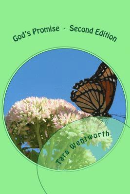 Tara Wentworth - God's Promise, Häftad