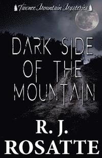bokomslag Dark Side of the Mountain