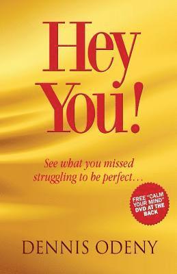 Hey You!: See What you Missed Struggling to be Perfect 1