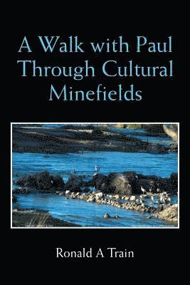 bokomslag Walk with Paul Through Cultural Minefields