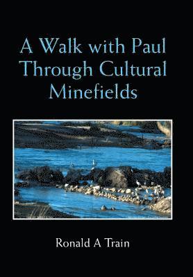 bokomslag Walk with Paul Through Cultural Minefields