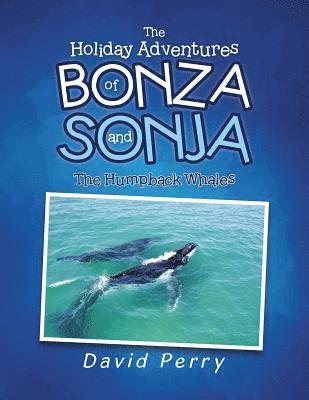 David Perry - Holiday Adventures of Bonza and Sonja, Häftad