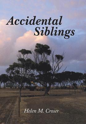 Accidental Siblings 1