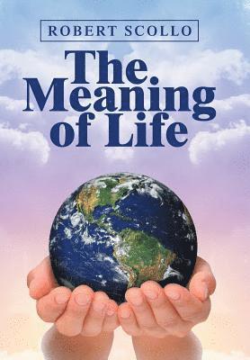 bokomslag Meaning of Life