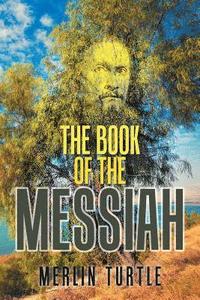 bokomslag Book of the Messiah