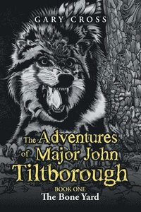 bokomslag The Adventures of Major John Tiltborough