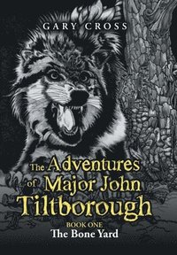 bokomslag The Adventures of Major John Tiltborough