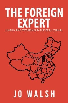 bokomslag Foreign Expert