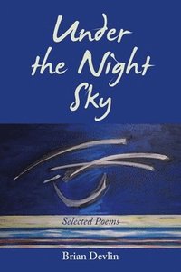 bokomslag Under the Night Sky