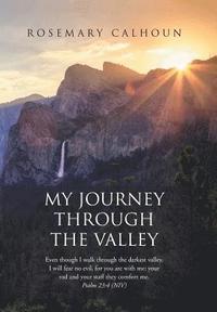 bokomslag My Journey Through the Valley