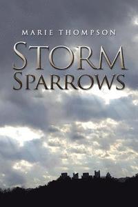 bokomslag Storm Sparrows