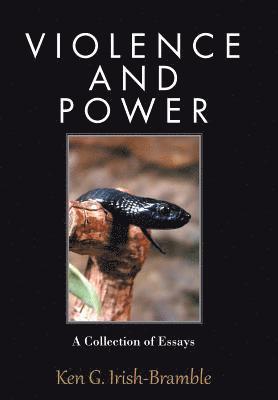 bokomslag Violence and Power