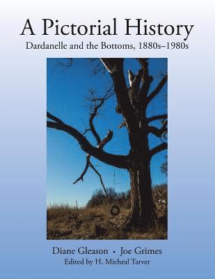 bokomslag Pictorial History
