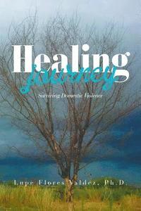 bokomslag Healing Journey