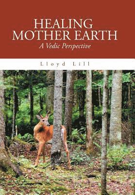 Lloyd Lill - Healing Mother Earth, Inbunden