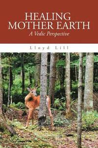 bokomslag Healing Mother Earth