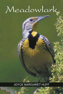 Joyce Margaret Huff - Meadowlark, Häftad