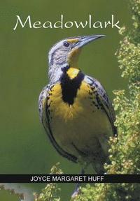 bokomslag Meadowlark