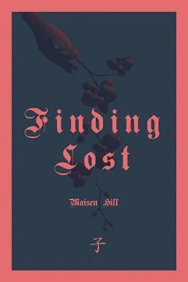 bokomslag Finding Lost