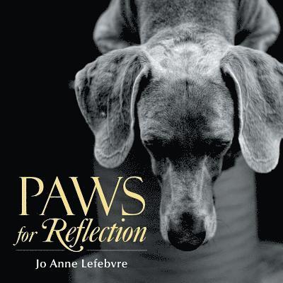 Paws for Reflection 1