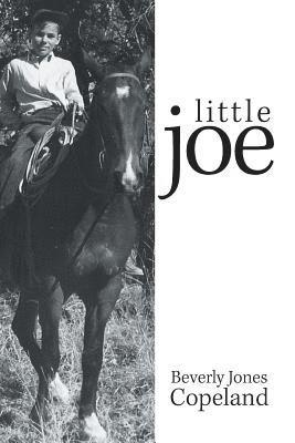 Little Joe 1