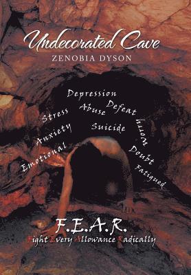 Zenobia Dyson - Undecorated Cave, Inbunden