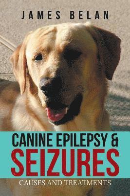 bokomslag Canine Epilepsy & Seizures